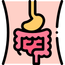 Digestive Wellness