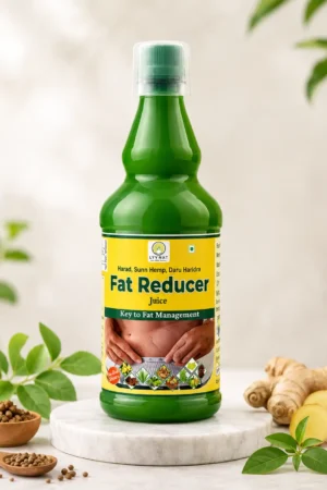 Fat Reducer Juice