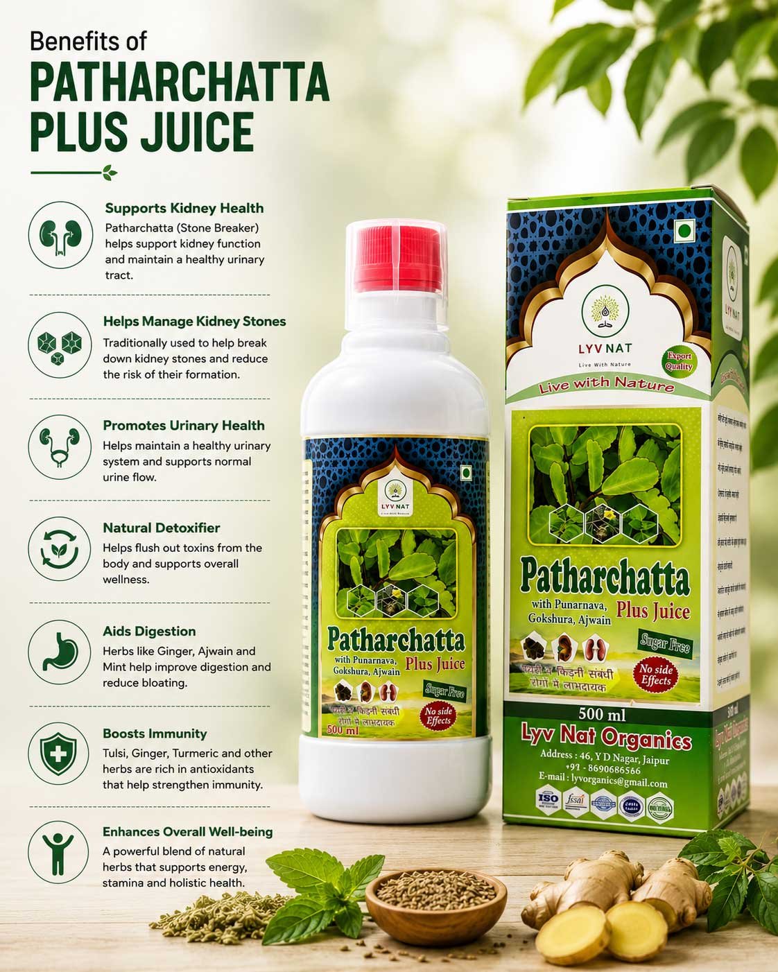 Patharchatta Plus Juice - Image 2